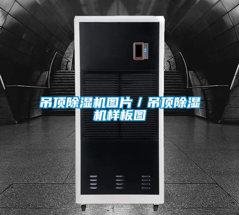 吊顶香蕉视频国产APP下载机图片／吊顶香蕉视频国产APP下载机样板图