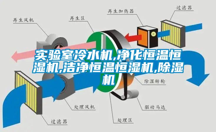 实验室冷水机,净化恒温恒湿机,洁净恒温恒湿机,香蕉视频国产APP下载机