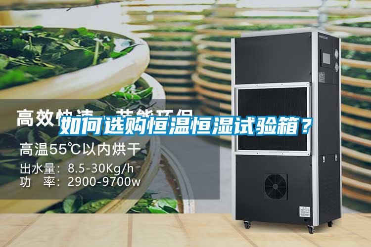 如何选购恒温恒湿试验箱？