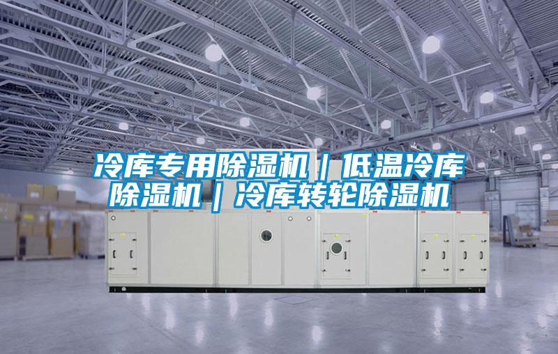 冷库专用香蕉视频国产APP下载机｜低温冷库香蕉视频国产APP下载机｜冷库转轮香蕉视频国产APP下载机