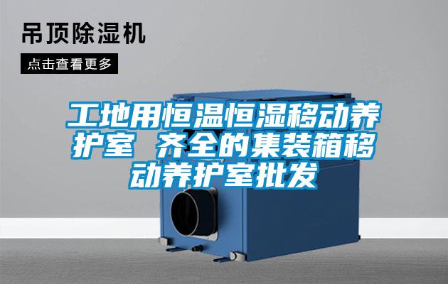 工地用恒温恒湿移动养护室 齐全的集装箱移动养护室批发