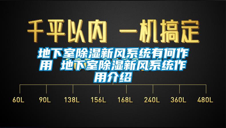 地下室香蕉视频国产APP下载新风系统有何作用 地下室香蕉视频国产APP下载新风系统作用介绍