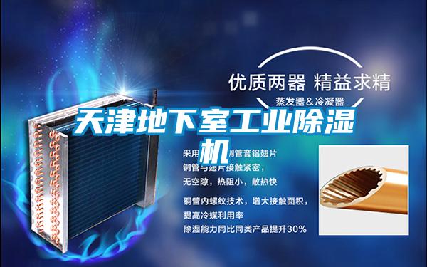 天津地下室工业香蕉视频国产APP下载机