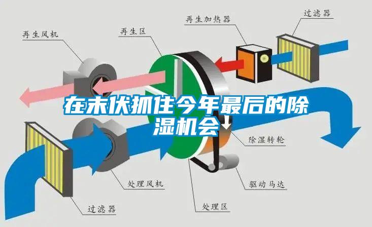 在末伏抓住今年最后的香蕉视频国产APP下载机会