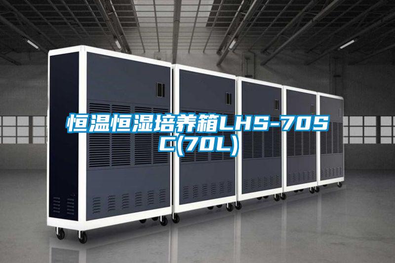 恒温恒湿培养箱LHS-70SC(70L)