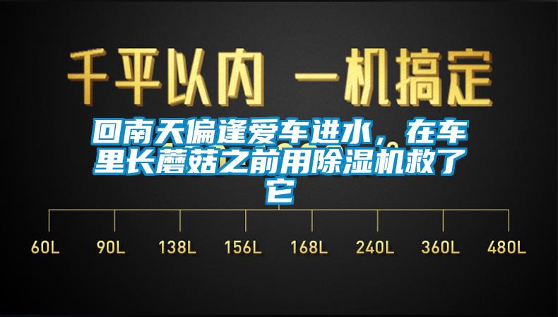 回南天偏逢爱车进水，在车里长蘑菇之前用香蕉视频国产APP下载机救了它