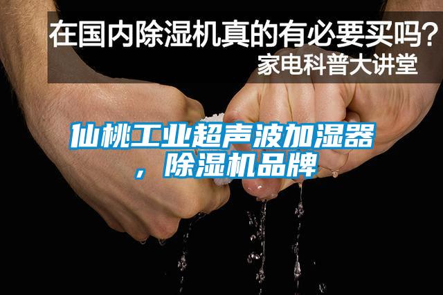 仙桃工业超声波加湿器，香蕉视频国产APP下载机品牌