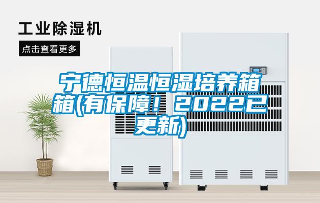 宁德恒温恒湿培养箱箱(有保障！2022已更新)