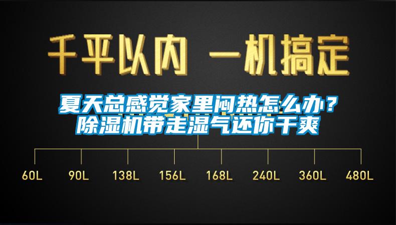 夏天总感觉家里闷热怎么办？香蕉视频国产APP下载机带走湿气还你干爽