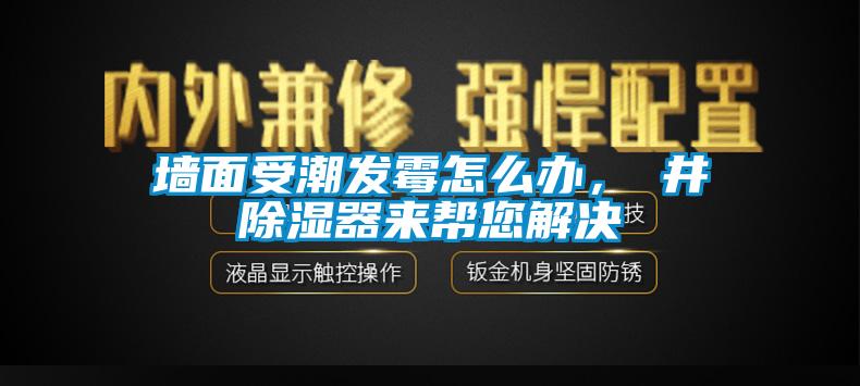 墙面受潮发霉怎么办，東井香蕉视频国产APP下载器来帮您解决