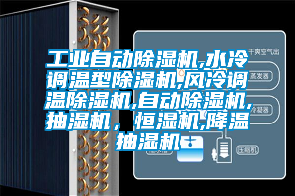 工业自动香蕉视频国产APP下载机,水冷调温型香蕉视频国产APP下载机,风冷调温香蕉视频国产APP下载机,自动香蕉视频国产APP下载机,抽湿机，恒湿机,降温抽湿机