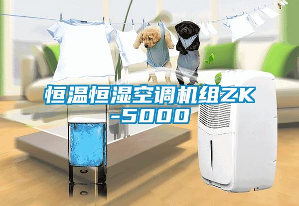 恒温恒湿空调机组ZK-5000