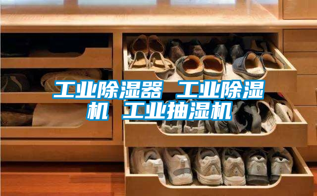 工业香蕉视频国产APP下载器 工业香蕉视频国产APP下载机 工业抽湿机