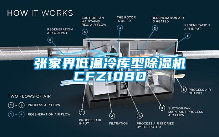 张家界低温冷库型香蕉视频国产APP下载机CFZ10BD