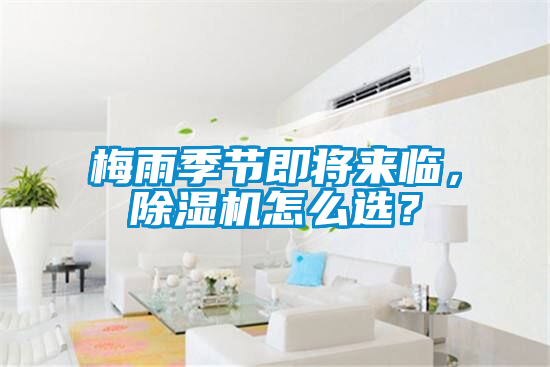 梅雨季节即将来临，香蕉视频国产APP下载机怎么选？