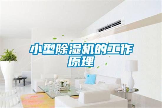 小型香蕉视频国产APP下载机的工作原理