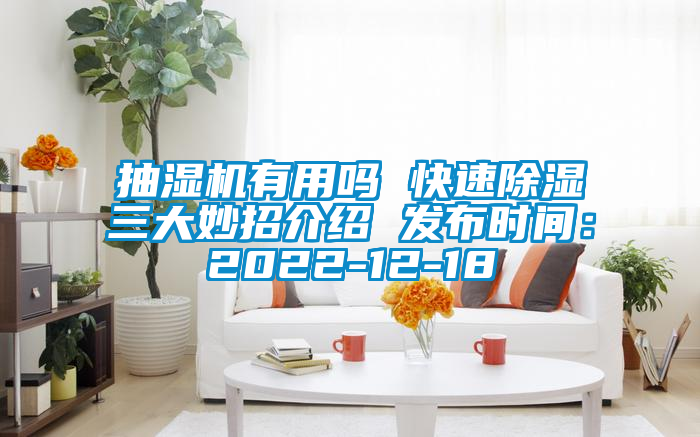 抽湿机有用吗 快速香蕉视频国产APP下载三大妙招介绍 发布时间：2022-12-18