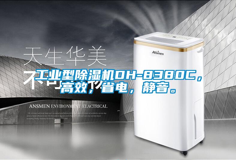 工业型香蕉视频国产APP下载机DH-8380C，高效，省电，静音。