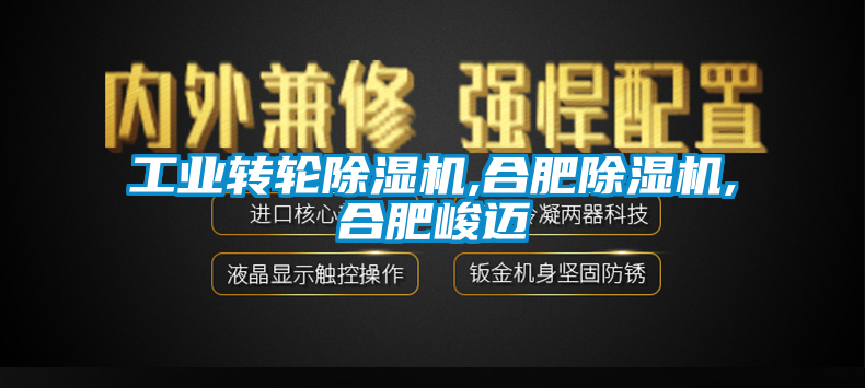 工业转轮香蕉视频国产APP下载机,合肥香蕉视频国产APP下载机,合肥峻迈