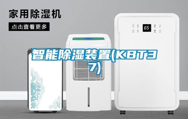 智能香蕉视频国产APP下载装置(KBT37)
