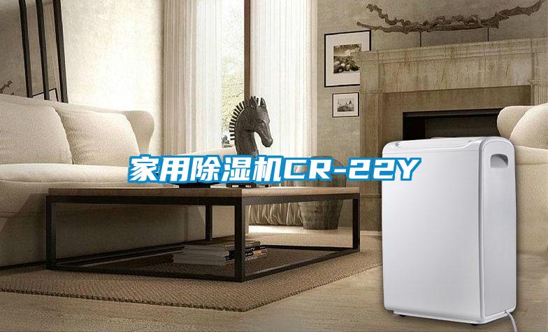 家用香蕉视频国产APP下载机CR-22Y