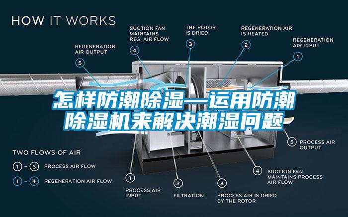 怎样防潮香蕉视频国产APP下载—运用防潮香蕉视频国产APP下载机来解决潮湿问题