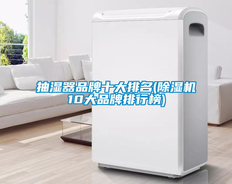 抽湿器品牌十大排名(香蕉视频国产APP下载机10大品牌排行榜)