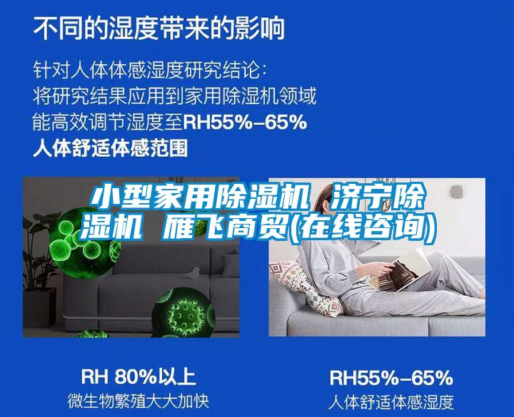 小型家用香蕉视频国产APP下载机 济宁香蕉视频国产APP下载机 雁飞商贸(在线咨询)