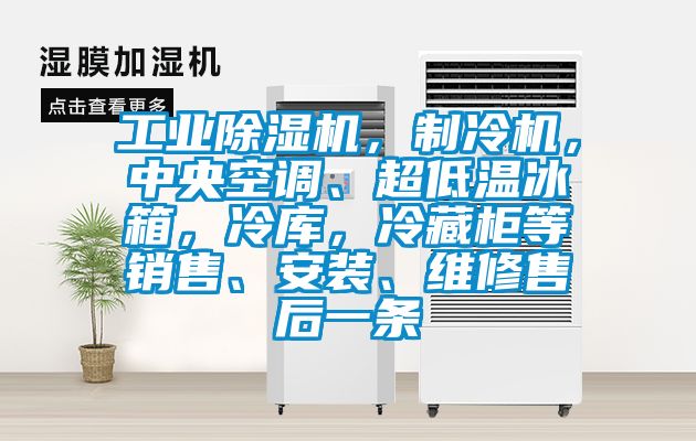 工业香蕉视频国产APP下载机，制冷机，中央空调、超低温冰箱，冷库，冷藏柜等销售、安装、维修售后一条