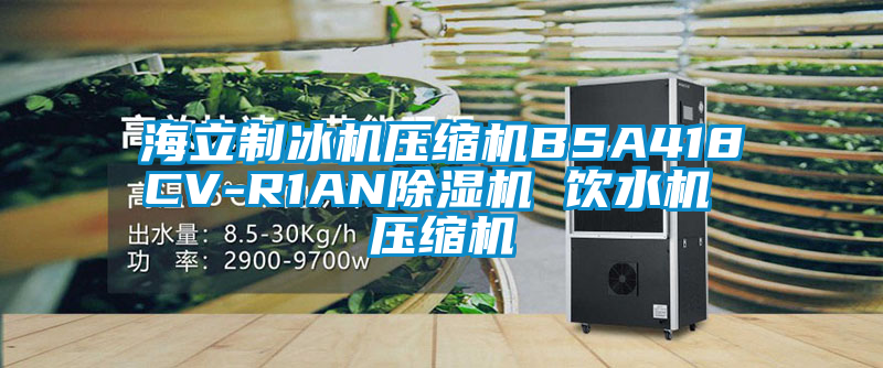 海立制冰机压缩机BSA418CV-R1AN香蕉视频国产APP下载机 饮水机 压缩机