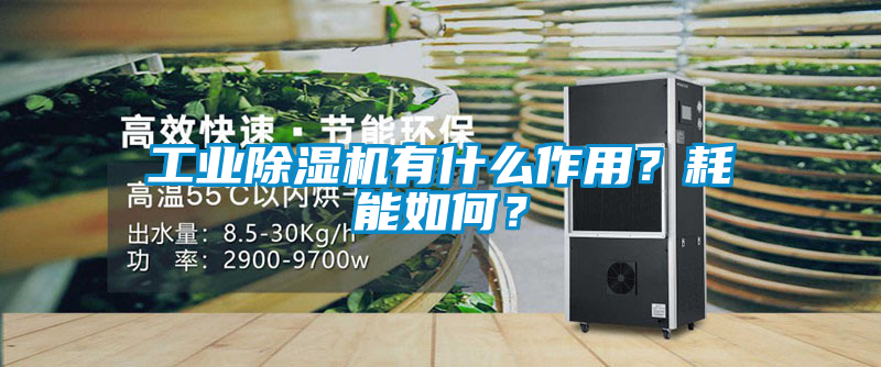 工业香蕉视频国产APP下载机有什么作用？耗能如何？