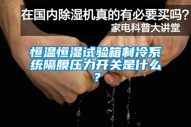 恒温恒湿试验箱制冷系统隔膜压力开关是什么？