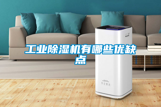 工业香蕉视频国产APP下载机有哪些优缺点