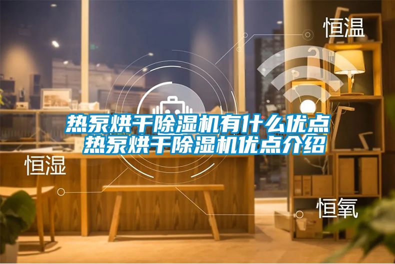 热泵烘干香蕉视频国产APP下载机有什么优点 热泵烘干香蕉视频国产APP下载机优点介绍