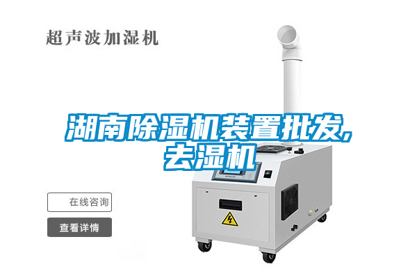 湖南香蕉视频国产APP下载机装置批发,去湿机