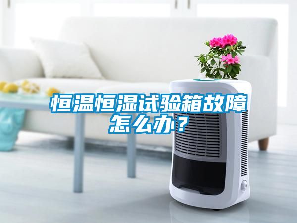恒温恒湿试验箱故障怎么办？