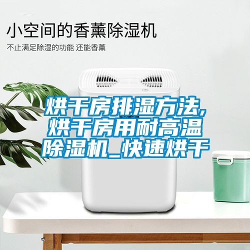 烘干房排湿方法,烘干房用耐高温香蕉视频国产APP下载机_快速烘干