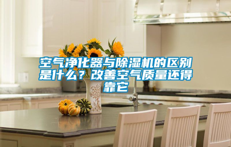 空气净化器与香蕉视频国产APP下载机的区别是什么？改善空气质量还得靠它