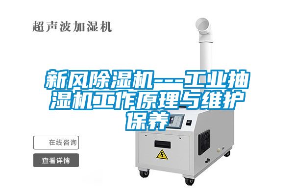 新风香蕉视频国产APP下载机---工业抽湿机工作原理与维护保养