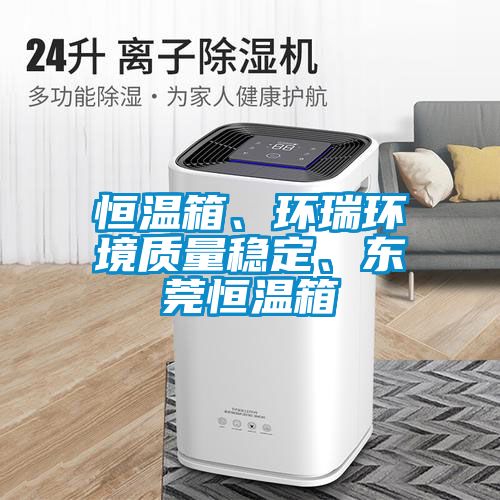 恒温箱、环瑞环境质量稳定、东莞恒温箱