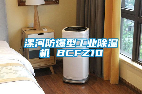 漯河防爆型工业香蕉视频国产APP下载机 BCFZ10