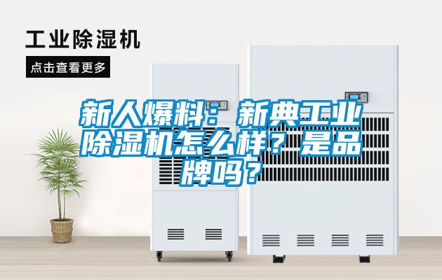 新人爆料：新典工业香蕉视频国产APP下载机怎么样？是品牌吗？