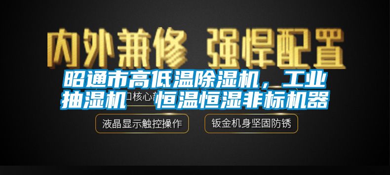 昭通市高低温香蕉视频国产APP下载机，工业抽湿机  恒温恒湿非标机器