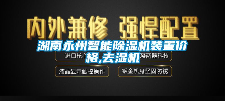 湖南永州智能香蕉视频国产APP下载机装置价格,去湿机