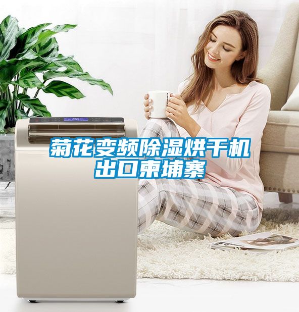 菊花变频香蕉视频国产APP下载烘干机出口柬埔寨