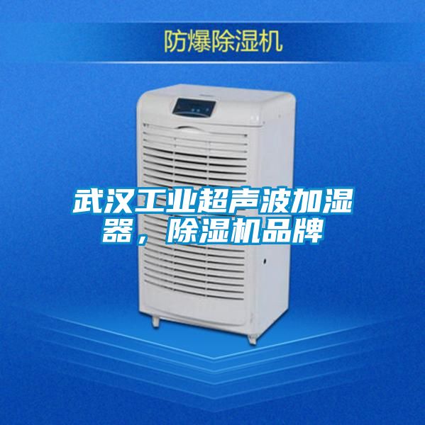 武汉工业超声波加湿器，香蕉视频国产APP下载机品牌