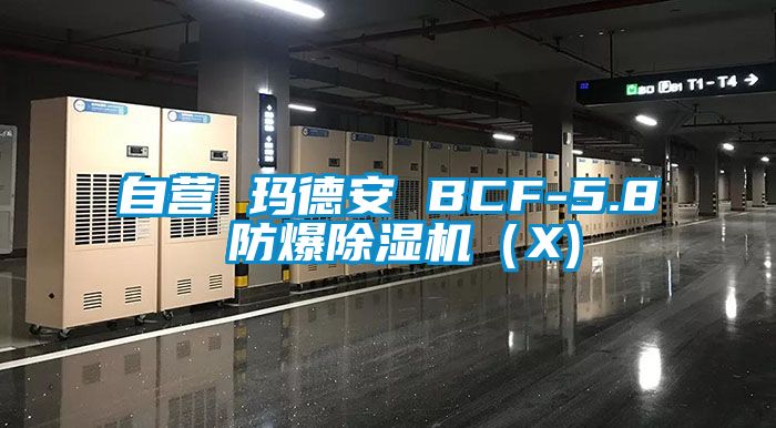 自营 玛德安 BCF-5.8 防爆香蕉视频国产APP下载机（X)