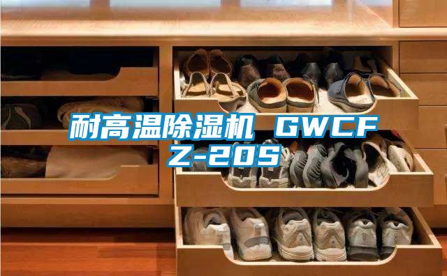 耐高温香蕉视频国产APP下载机 GWCFZ-20S