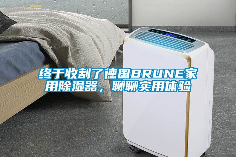 终于收割了德国BRUNE家用香蕉视频国产APP下载器，聊聊实用体验