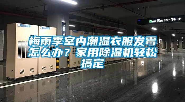 梅雨季室内潮湿衣服发霉怎么办？家用香蕉视频国产APP下载机轻松搞定